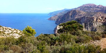 Westkust van Mallorca I