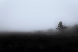 Fog in the moor by Ken Kühlbrandt