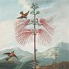 Grote Bloeiende Gevoelige Plant, Robert John Thornton van Meesterlijcke Meesters