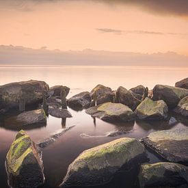 Silence on the lake by Xander Haenen