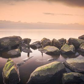 Le silence sur le lac sur Xander Haenen