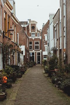 Botanisch straatje in Haarlem | Fine art foto print | Nederland, Europa van Sanne Dost