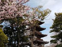 Japans Tafereel