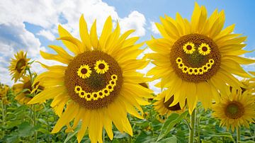 Twee vrolijke zonnebloemen van SusaZoom