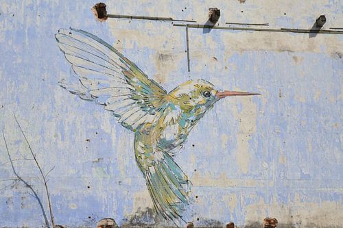 Murale de colibris sur mur bleu