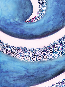 Coral Flow 6