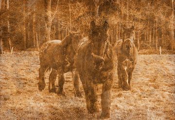 Werkpaarden van Ans Bastiaanssen