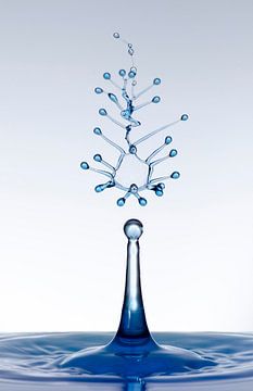 Blauwe water druppel splash1 van Focco van Eek