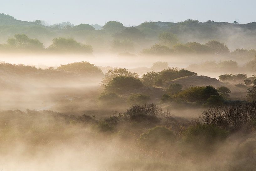 Morning fog over the dunes of Katwijk by Menno van Duijn