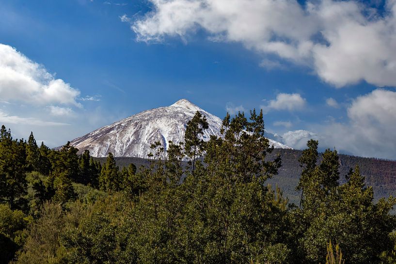 El Teide, Vulkan auf Teneriffa Spanien von Gert Hilbink