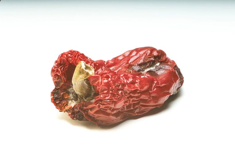 transience by Geertjan Plooijer