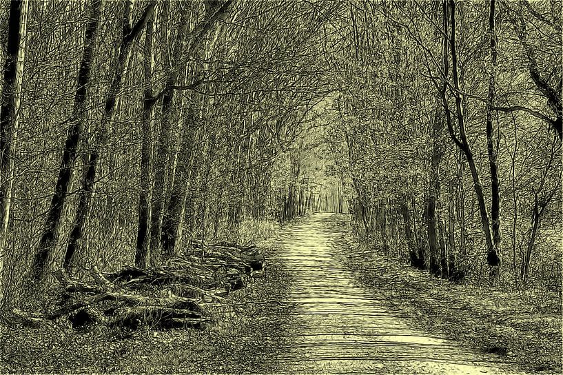 Het bos als grafisch motief van Edgar Schermaul