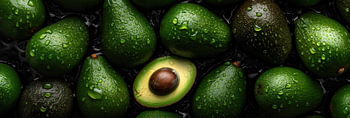 Panorama avec avocats frais