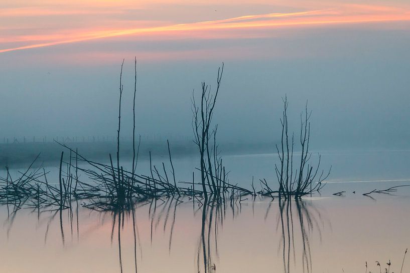 misty morning by ton vogels