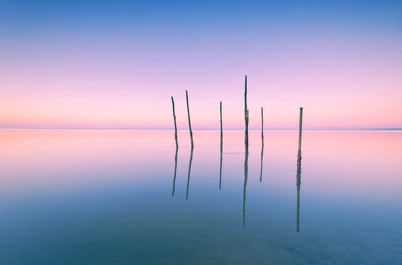 Friesland on the mudflats by Carin Captures