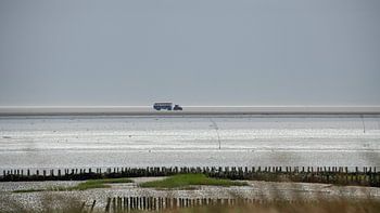 Eb bij Mandø in de Waddenzee