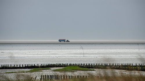 Ebbe bei Mandø im Wattenmeer