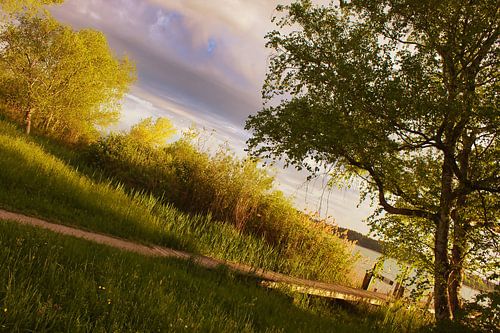 Steg beim Pfäffikersee