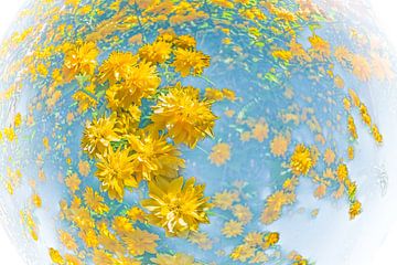 The world in yellow flowers by kitty van gemert