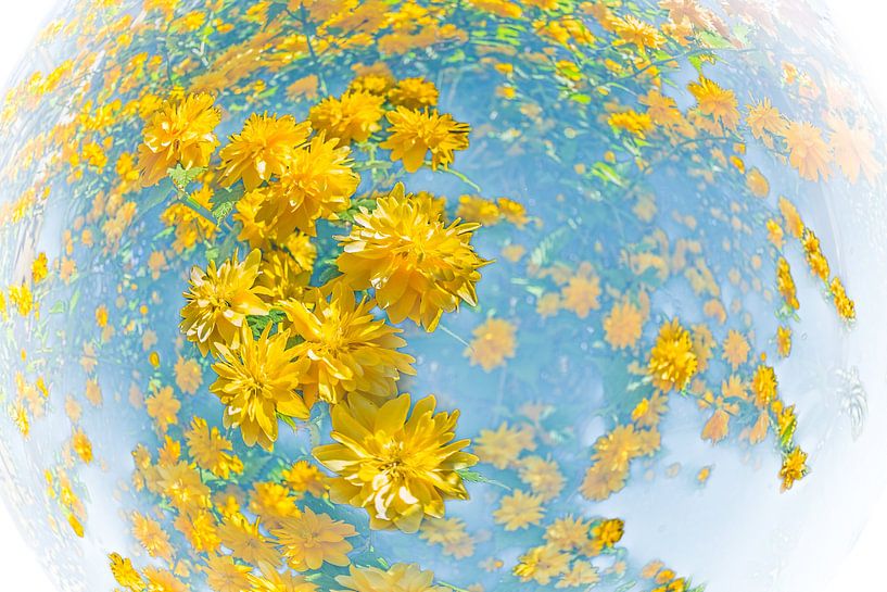 The world in yellow flowers von kitty van gemert