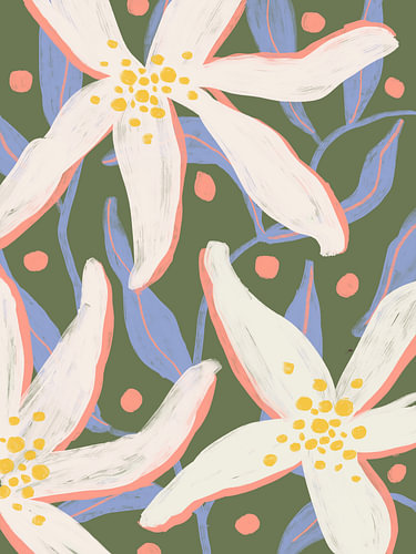 Gentle Bloom