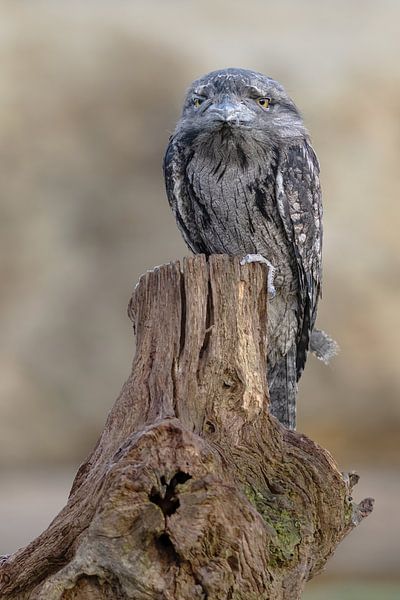 Nature photography by Marieke Deinum