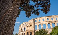 De oude colosseumarena in Kroatië