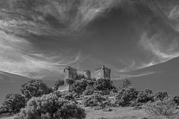 Het Spaanse kasteel van Almodovar del Rio van Harrie Muis