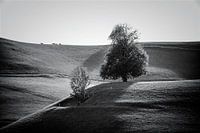 Menzingen monochroom