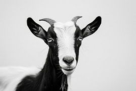 Geit van Poster Art Shop