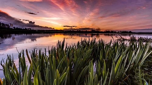 The Sunrise 2