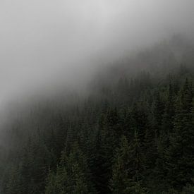 Skandinavisches Foto auf einem Berg mit Kiefern, Nebel und Wolken von Moments by Kim