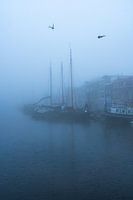 Leyde dans le brouillard