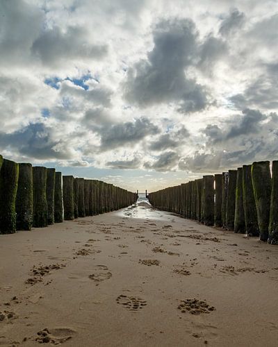 Breakwaters on the Beach at Flushing Zeeland