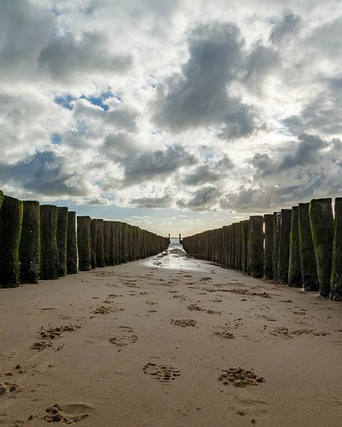 Breakwaters on the Beach at Flushing Zeeland by Menno Schaefer