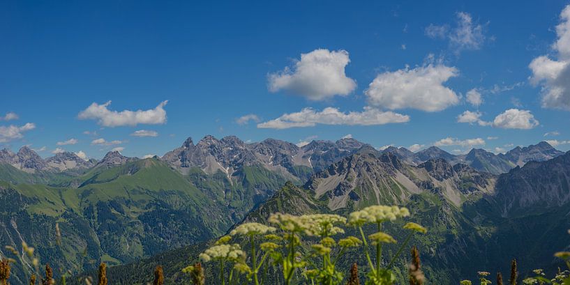 Allgäuer Hauptkamm van Walter G. Allgöwer