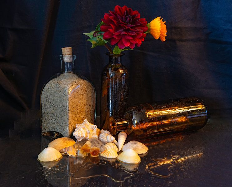 For Photography Lovers by Torfinn Johannessen