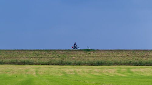 De eenzame fietser