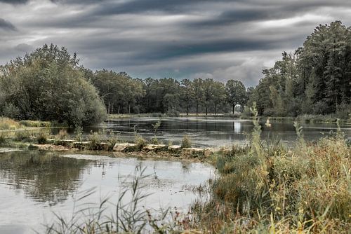 Là où l'eau rencontre la nature