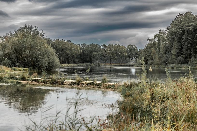 Where water meets nature by Nicole Schmidt