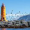 Vuurtoren en vogels van Jack Soffers