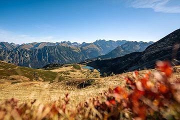 Herfstuitzicht op de Schlappoldsee op de Fellhorn en de Allgäuer Alpen zoals Trettachspitze, Mädelegabel, Hochfrottspitze op de achtergrond van Leo Schindzielorz