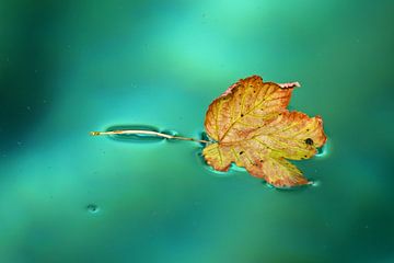 Leaf in green by Antwan Janssen
