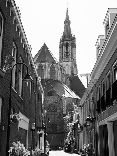 Trompetstraat Delft