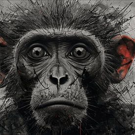 KARU Primal Echo Monkey Portrait Abstract Wall Art by Mavro Orbino