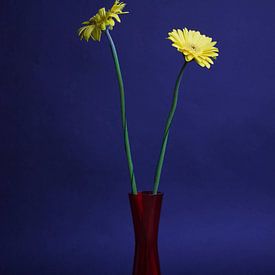 Bloemen in vaas van Wouter Kouwenberg