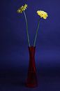 Blumen in Vase von Wouter Kouwenberg Miniaturansicht