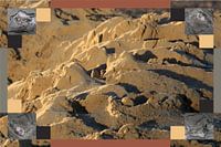 On the border of sea and sand.