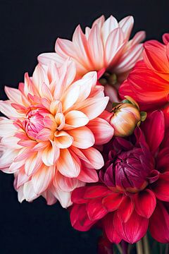 Bos Dahlia's van Vlindertuin-Art