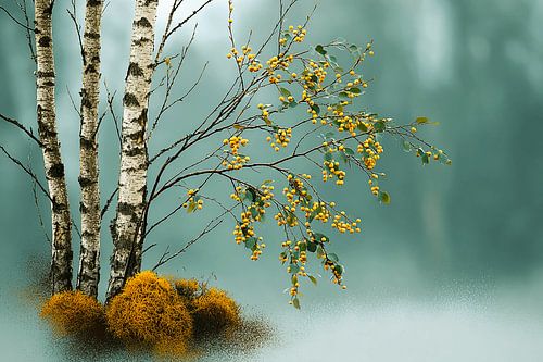 Berkenfluistering bij de Mistige Oever